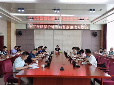 全市自然保护地专项督察整改专题会