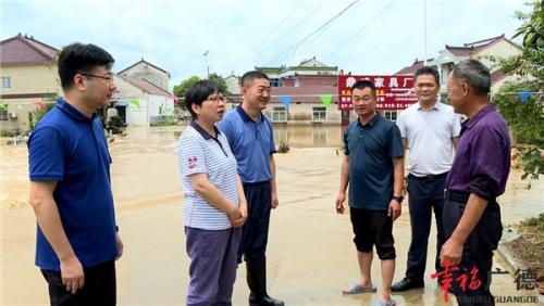 陈红英检查指导救灾复产工作