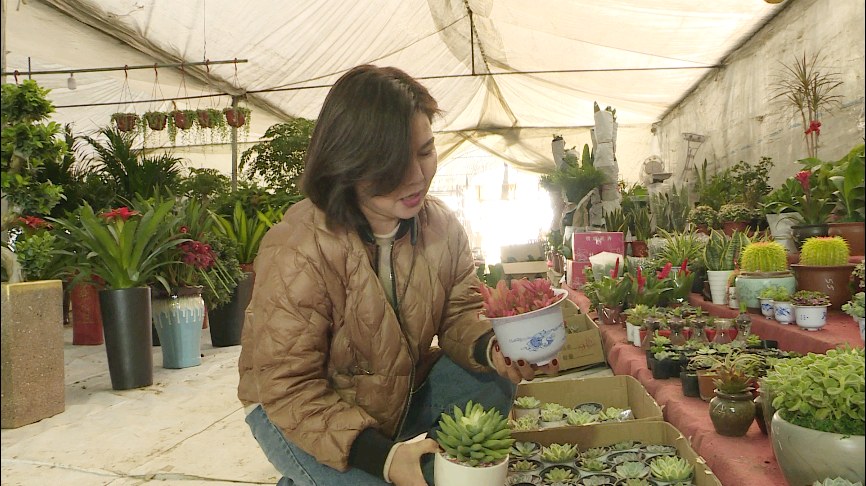 603cb50665e09.jpg 603cb50665e09.jpg