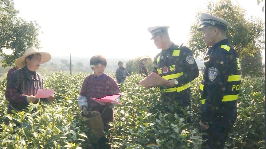 60619e5fcc4e2.jpg 60619e5fcc4e2.jpg