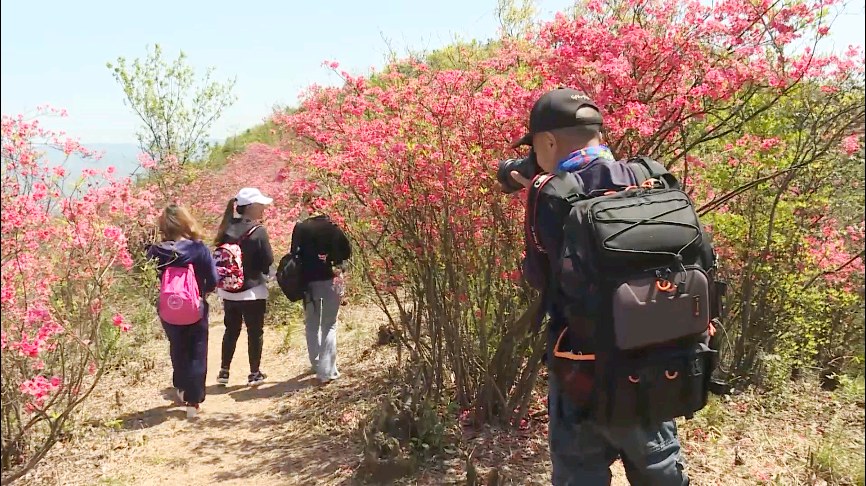 60740e2b5f5cc.jpg 60740e2b5f5cc.jpg