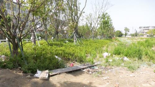 新建公园还需加强管理