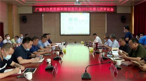 市自然资源和规划委员会2021年第七次审议会召开