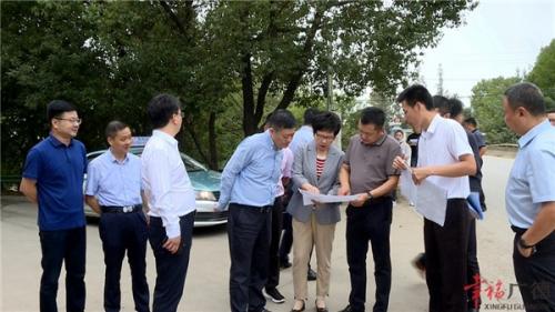 陈红英调研祠山岗城市副中心项目建设工作