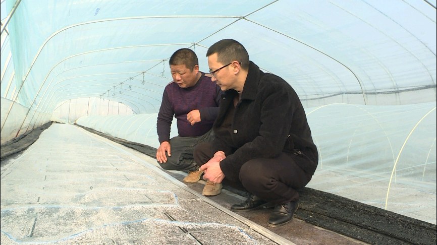 31f0180dadefa601254dab79228de22e.jpg 31f0180dadefa601254dab79228de22e.jpg