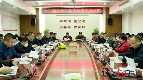 陈红英、周其红等市领导出席人大代表分团审议会