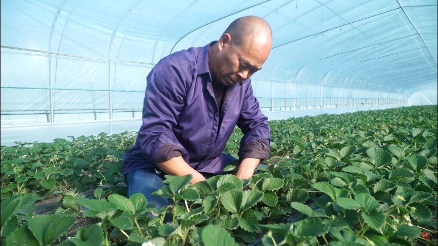 0f68916739d61b6eb4071e25e8162707.jpg 0f68916739d61b6eb4071e25e8162707.jpg