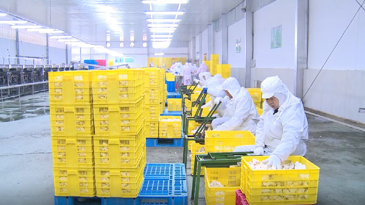 44bd89e4550b5e5f015be63ad210028a.jpg 44bd89e4550b5e5f015be63ad210028a.jpg