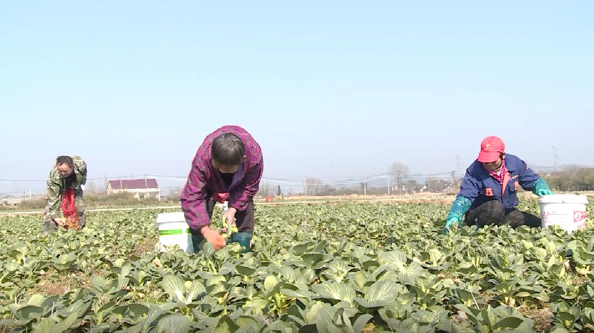 743818d0beefaf98475f95fff562a3ff.jpg 743818d0beefaf98475f95fff562a3ff.jpg