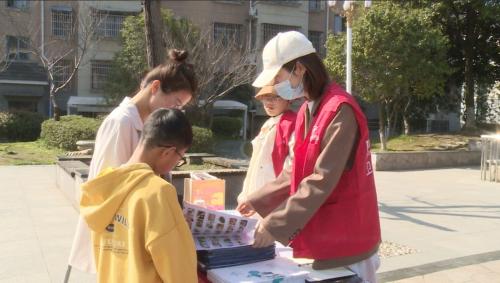 又到白蚁高发季 房管灭蚁在行动