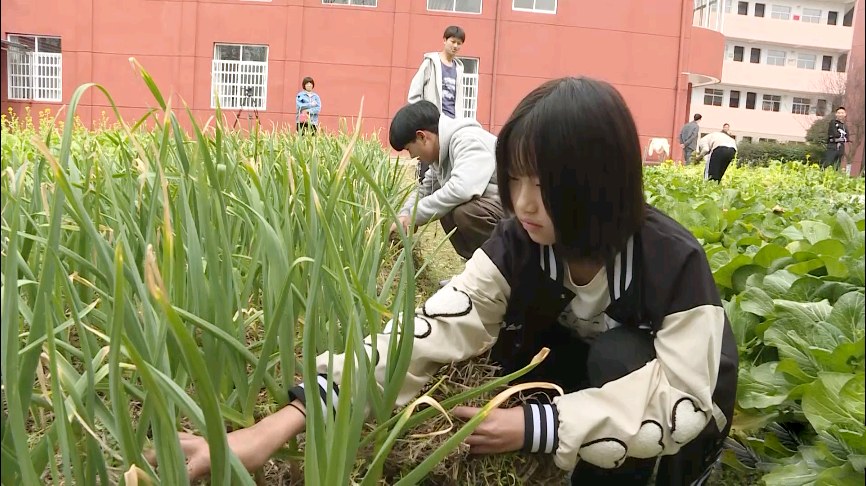 321a96c7f131ddcf28bd14cd15d78e2d.jpg 321a96c7f131ddcf28bd14cd15d78e2d.jpg