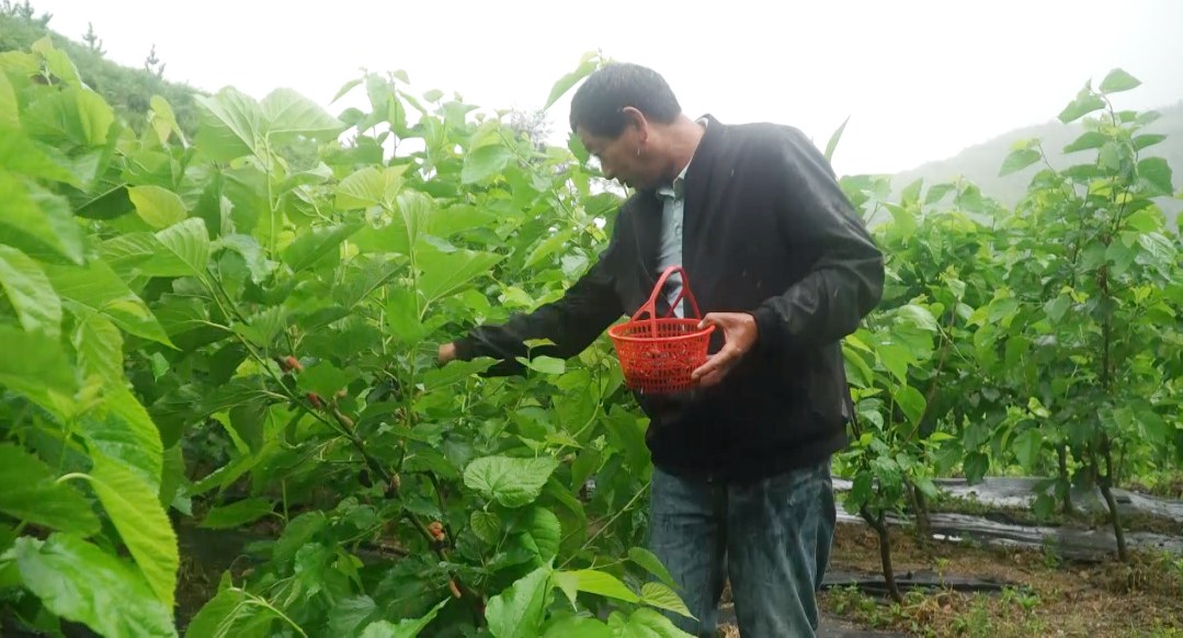 cdaf9f889e7deb56694ad786da264af3.jpg cdaf9f889e7deb56694ad786da264af3.jpg