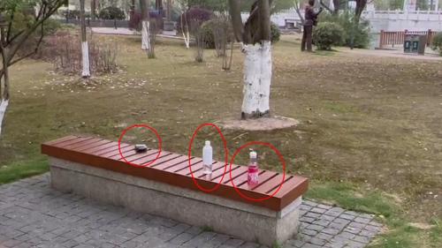 游园赏景 莫忘文明