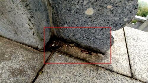 春日赏景 牢记文明