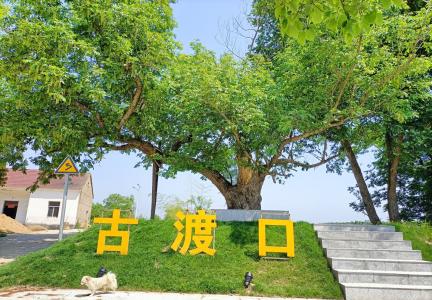 白桥村：以水为景 打造乡村振兴新亮点