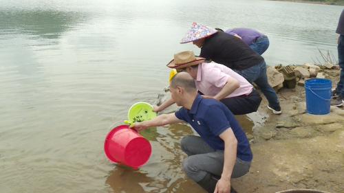 增殖放流 24万尾鱼苗入河遨游