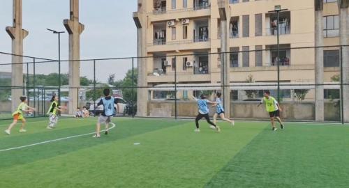 天寿社区：全民健身 让“飞盘”飞起来