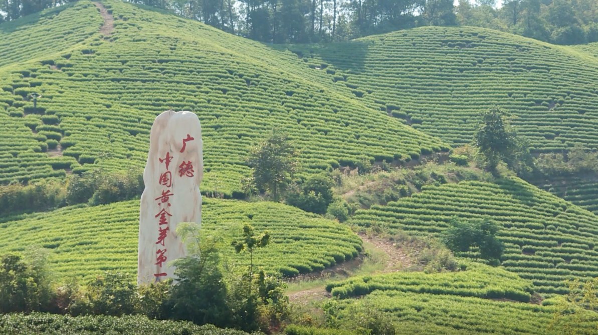 f559d3d3bae2248760f181e3ffd32d9b.jpg f559d3d3bae2248760f181e3ffd32d9b.jpg