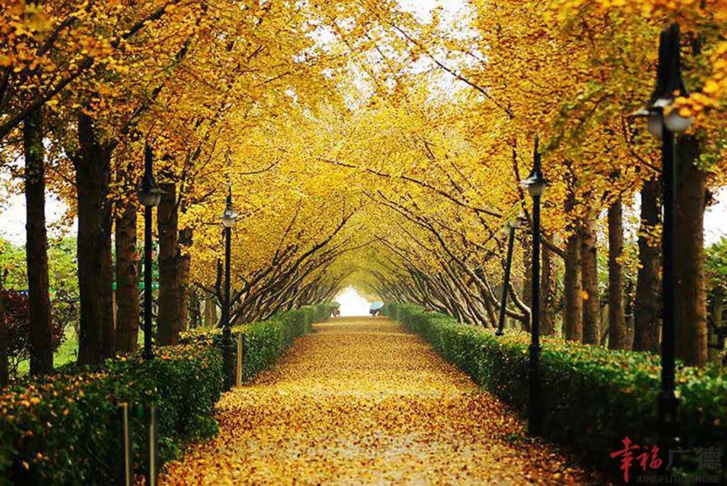 微信图片_20221010185059.jpg 微信图片_20221010185059.jpg