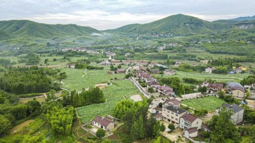 荷花绽放 夏意满塘