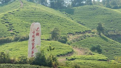 誓节镇：打造“生态引擎” 赋能乡村振兴