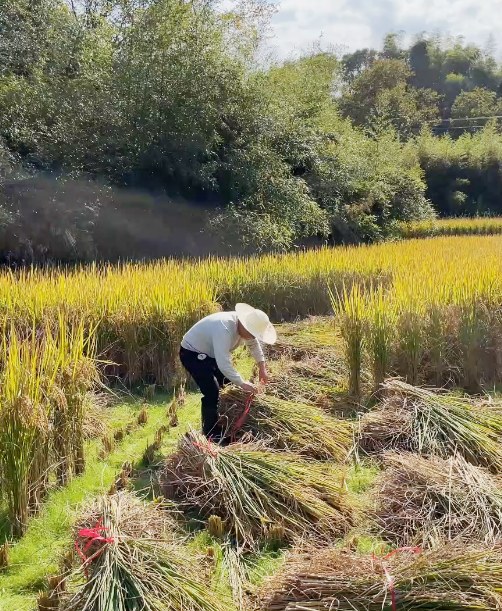 a1aa649391a32e48ce509eac9e193ff9.jpg a1aa649391a32e48ce509eac9e193ff9.jpg