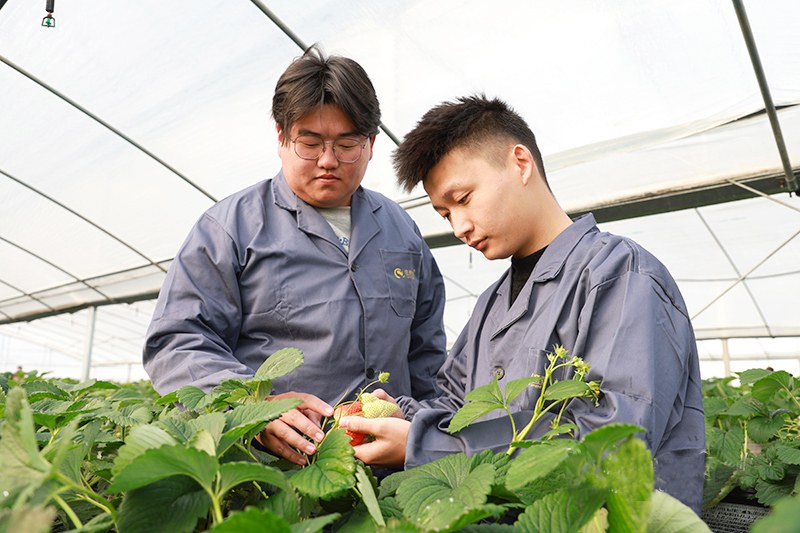 2483c63121afdce249d59303fced4365.jpg 2483c63121afdce249d59303fced4365.jpg