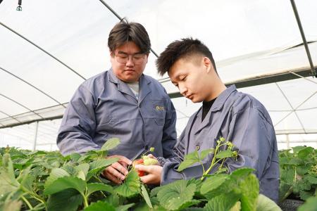 00后返乡当起“新农人”