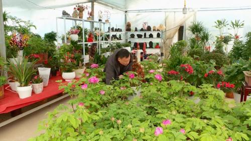 人勤春来早 苗木交易忙