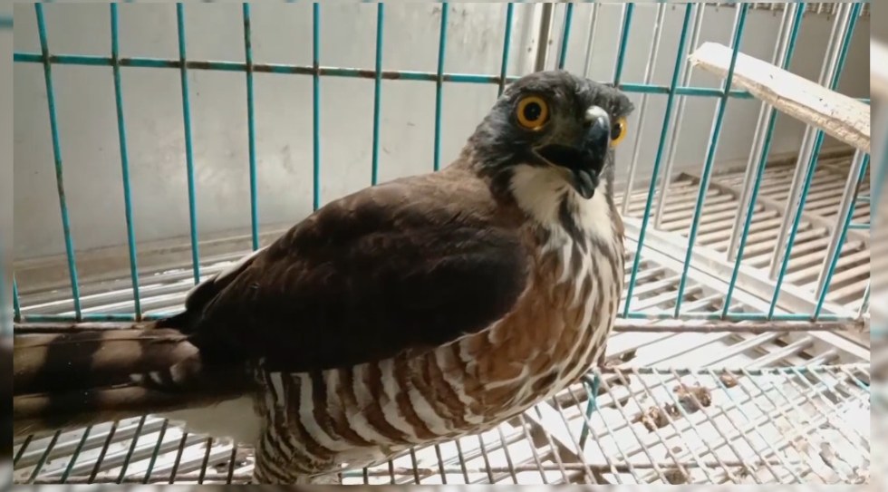 3c63492a19ac9405525918b4f3cac15a.jpg 3c63492a19ac9405525918b4f3cac15a.jpg