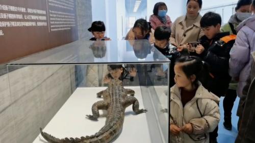 荷花社区:“亲近大自然 趣探鳄鱼馆”