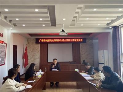 市残联召开2022年度组织生活会和民主评议党员会议