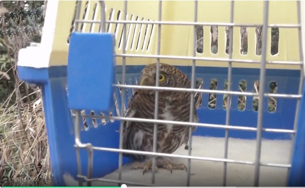 8101b4836362c14b1918af60062ed9fa.jpg 8101b4836362c14b1918af60062ed9fa.jpg