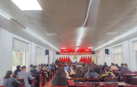 卢村乡召开2022年度基层党组织书记抓基层党建工作述职评议会