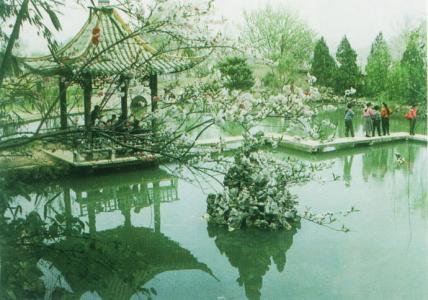 卢湖竹海景区无名园