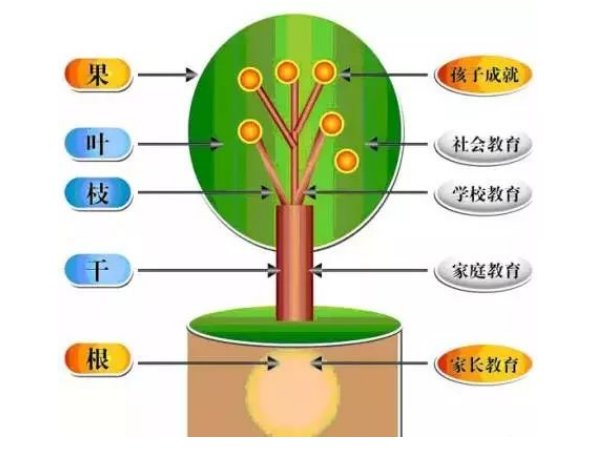 1682323819212902.png image.png